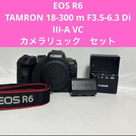 Canon EOS R6 ミラーレス一眼 レンズセット