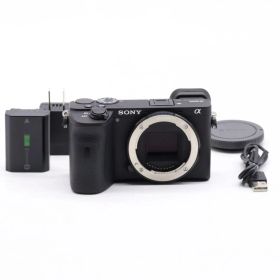 美品 SONY α6600 2386ショット #451