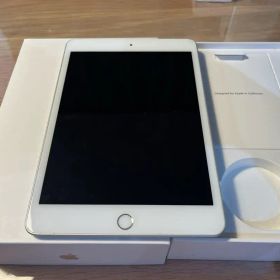 iPad mini 5 64GB wifi シャッター音無海外モデル
