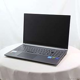 raytrek R5-RL6 ［Core-i7-13700HX (2.1GHz)／32GB／SSD1TB／15.6インチ／Windows11 Home］