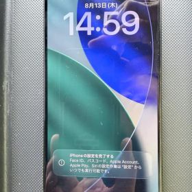 Apple iPhone 15 Pro 本体