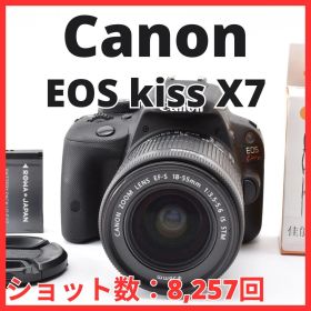 H06[8438]14★美品★ キヤノン Canon EOS kiss X7 ボディ 18-55mm IS STM レンズキット 【ショット数 8,257回】