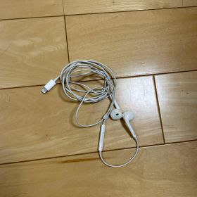 Apple EarPods with Lightning Connector
