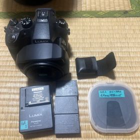 Panasonic LUMIX DMC-FZH1