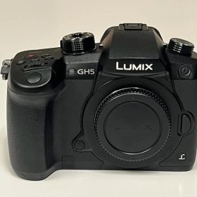 超美品Panasonic LUMIX DC-GH5M 一眼カメラ& 5倍レンズ