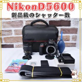 ニコン Nikon D5600 手振れ補正レンズ付き シャッター数少