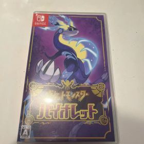Nintendo Switch ポケットモンスター バイオレット