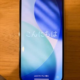 Apple iPhone 12 Pro シルバー 256GB 箱あり