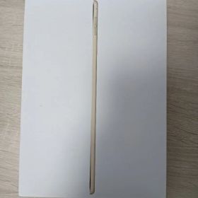 【箱・説明書・購入時付属品全て有】Apple iPad Air2 本体ジャンク
