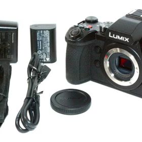 美品 Panasonic パナソニック LUMIX ルミックス DC-G9M2 ボディ デジタル一眼カメラ ミラーレス