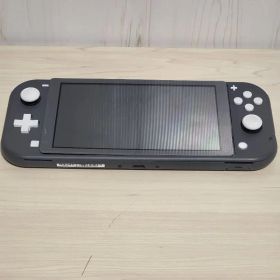 Nintendo Switch Lite グレー 本体