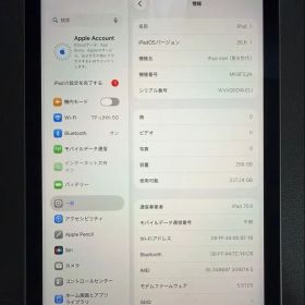 Apple iPad mini (第6世代) 256GB 本体