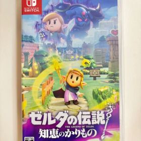 ゼルダの伝説 知恵のかりもの Nintendo Switch
