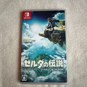 ゼルダの伝説 ティアーズ オブ ザ キングダム Switch