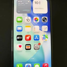 iPhone 12 Pro Max 128GB (カメラシャッター音無し)