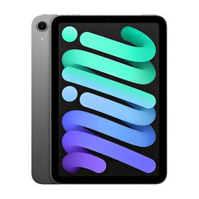 Apple iPad mini 8.3インチ Wi-Fi 128GB MXN63J/A スペースグレイ