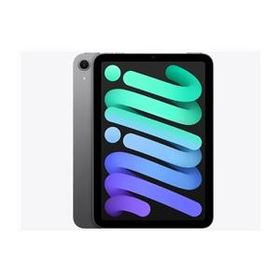 ★アップル / APPLE iPad mini 8.3インチ Wi-Fi 128GB 2024年秋モデル MXN63J/A [スペースグレイ]【タブレットPC】【送料無料】