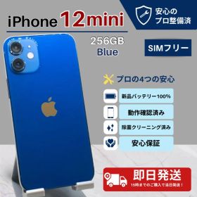 iPhone 12 mini 256GB SIMフリー 新品バッテリー 美品