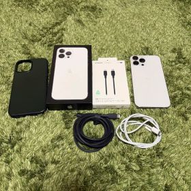 iPhone13 pro max 256gb