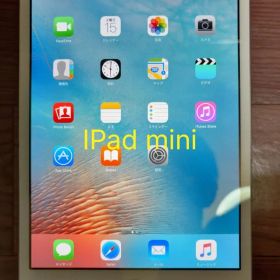 Apple iPad mini 本体 タブレット wifi cellular