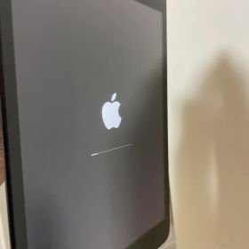 Apple iPad mini 第1世代 A1432 Wi-Fiモデル