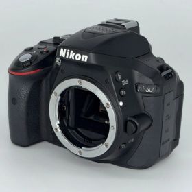 【美品】Nikon ニコン D5300 ボディ デジタル一眼レフ