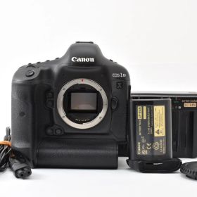 ★美品★ 《ショット数 122905回》 キヤノン CANON EOS-1D X ボディ #2737