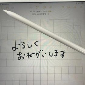 【動作確認済】Apple Pencil 第1世代 純正 箱・付属品・購入証明あり