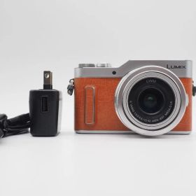 LUMIX GF10 12-32mm ブラウン 訳あり動作品