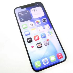 iPhone 12 64GB ホワイト MGHP3J/A バッテリー最大容量:81％ SIMフリー 本体のみ ※中古/利用○