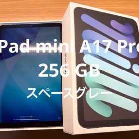 iPad mini A17 Pro 256GB wifiモデル