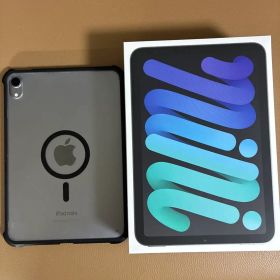 Apple iPad mini (A17 Pro) 128GB 本体