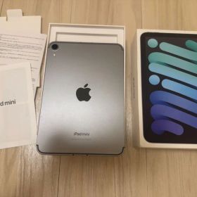 Apple iPad mini 7世代 (applecare期限1年以上あり)
