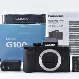 美品 PANASONIC LUMIX DC-G100 ボディ 2482