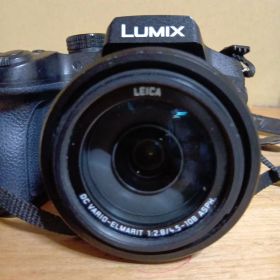 LUMIX DMC-FZ300