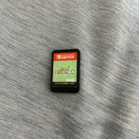 Nintendo Switch あつまれ どうぶつの森 ソフト