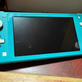 switch light 本体