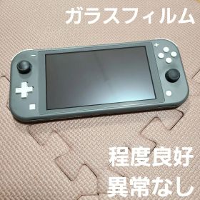 Nintendo Switch Lite グレー 8104