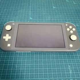 Nintendo Switch Lite グレー 本体