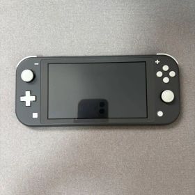 Nintendo Switch Lite 本体 グレー カセット付き