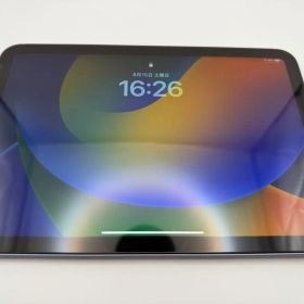 【超美品・iOS16.3.1】iPad miniセルラー256G 豪華フルセット