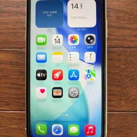 Apple iPhone 11 本体＋充電ケーブル＋イヤホン＋箱
