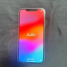 Apple iPhone 12 Pro Max 本体