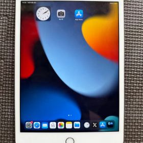 ジャンク iPad mini 4 Wi-Fiモデル 128GB