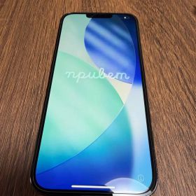 iPhone13 Pro Max/アルパイングリーン/本体のみ/256GB
