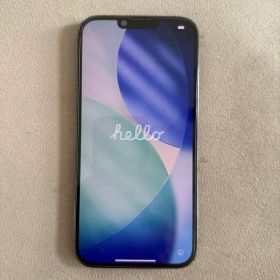 Apple iPhone 13 Pro Max 1TB