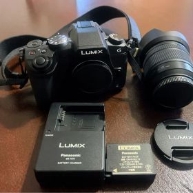 Panasonic LUMIX DMC-G8 12-60レンズキット 説明書付き