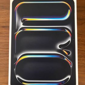 iPad Pro M5 11インチ 256GB WiFiモデル 刻印あり