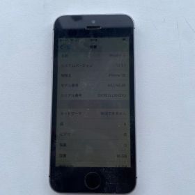 Apple iPhone SE 16GB 本体 SIMロック有り