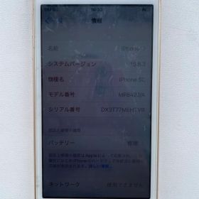 Apple iPhone SE 本体 32GB SIMロック解除
